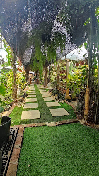 PITTA GARDEN gallery