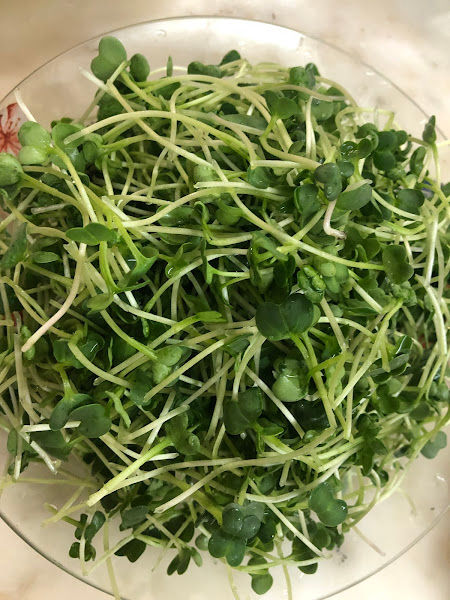 New Trio Products gallery