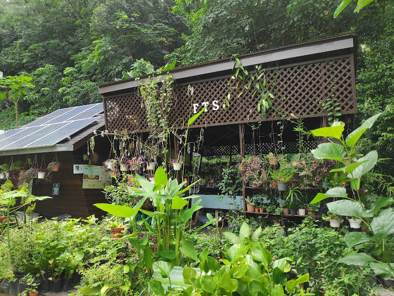 Free Tree Society Kuala Lumpur gallery