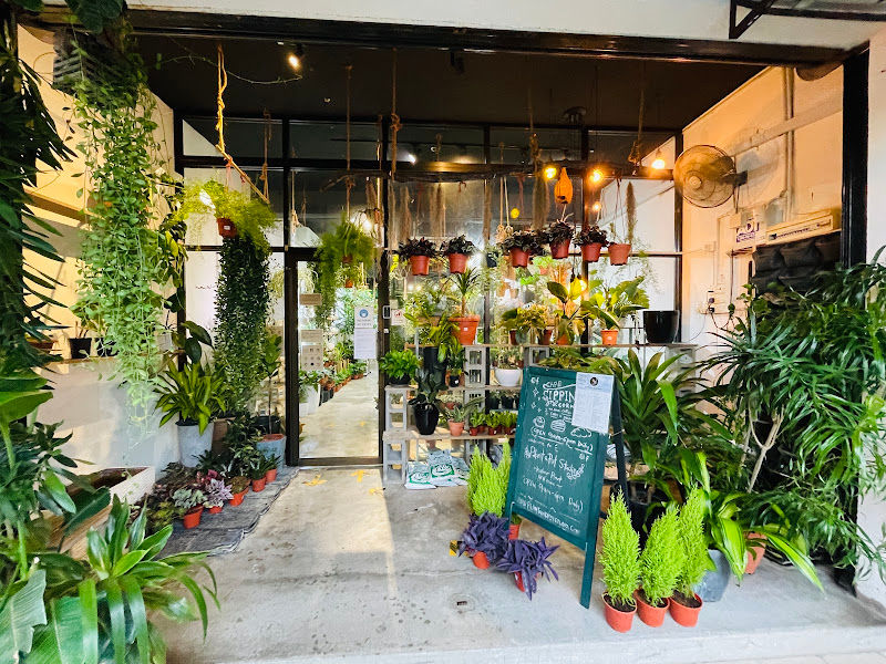 Plant & Pot Studio, Puchong