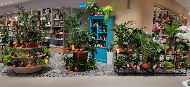 Kokedama Wonderland @ Parkson Pavillion Bukit Jalil gallery