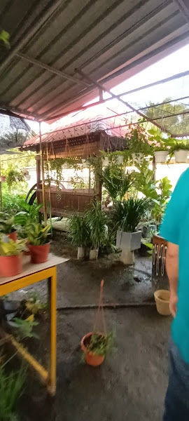 Jasmin garden gallery