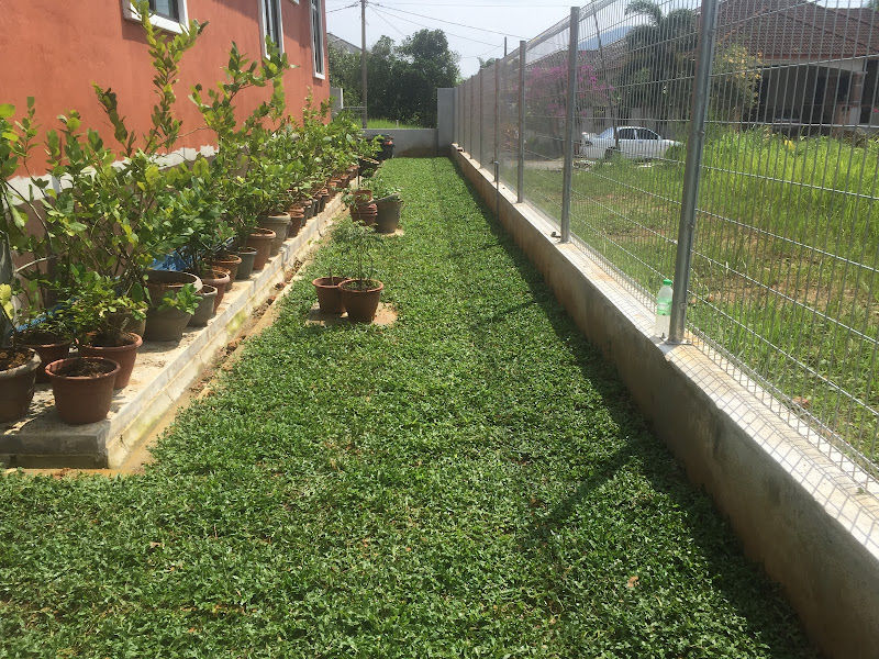 FD Garden Enterprise