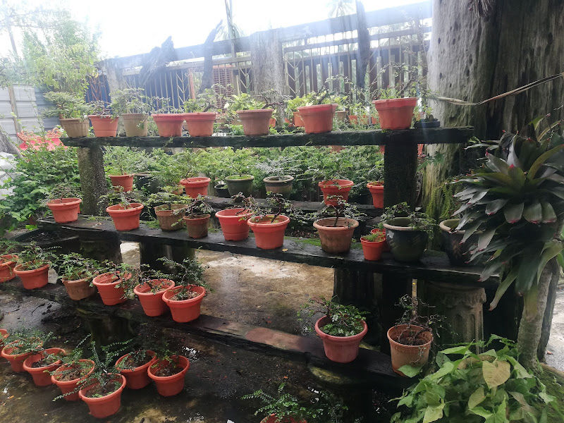 Chia Hong Nursery Centre(征鋒盆栽园艺中心) gallery