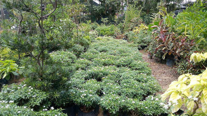 Sky Garden@Ks21 enterprise gallery