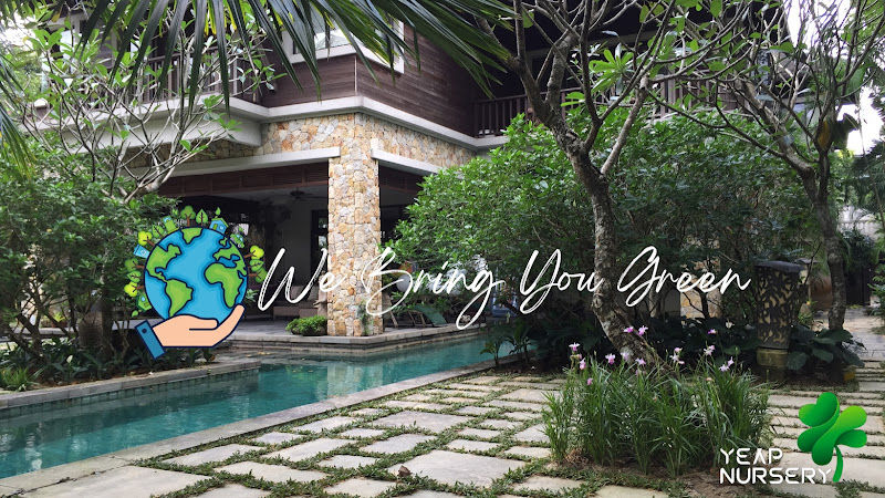 Yeap Nursery (M) Sdn Bhd gallery