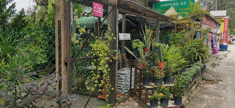 Sg Chinchin Nursury & Landscape gallery