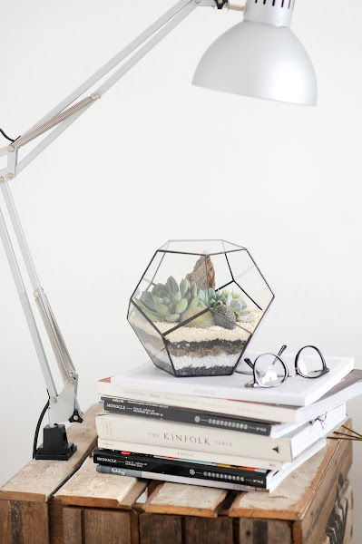 Ficusandjars Jangalow