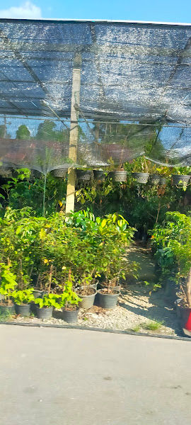 Nursery Dee Zer gallery