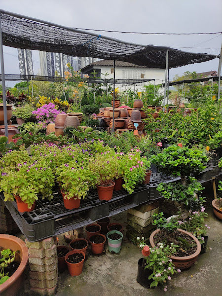 Loveco Garden gallery