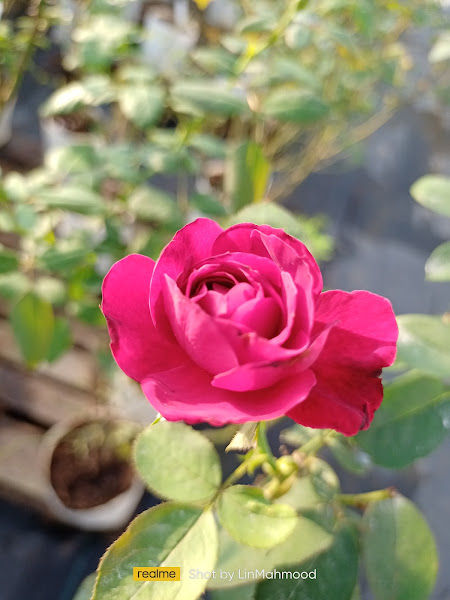 Nursery Alam gallery