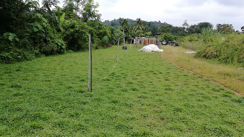 Agrass Landscape gallery