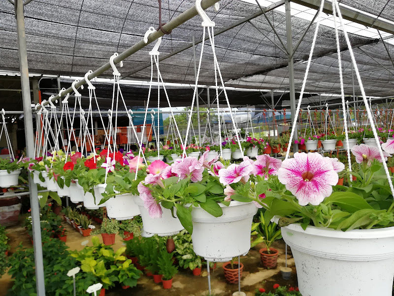 Forest Art Trading gallery