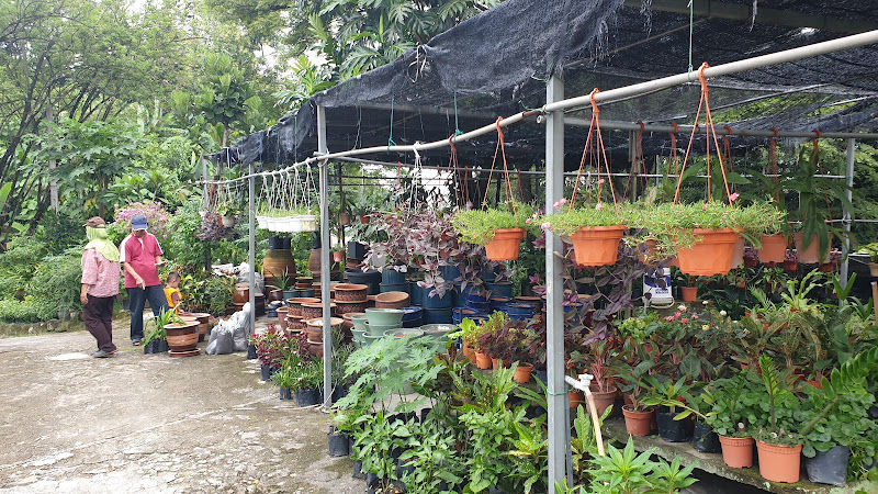 Lensen Nursery gallery