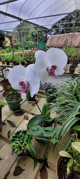 The Habitat Nursery gallery