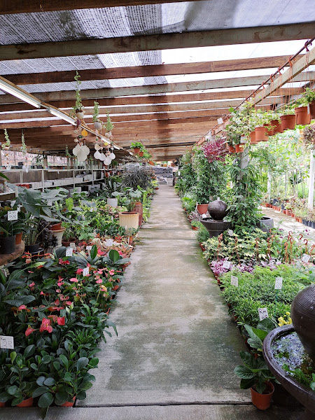 Plant Nursery gallery
