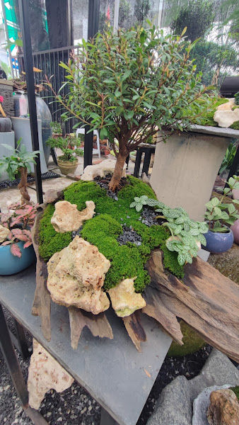 Soon Lee Landscape(Lot21) gallery