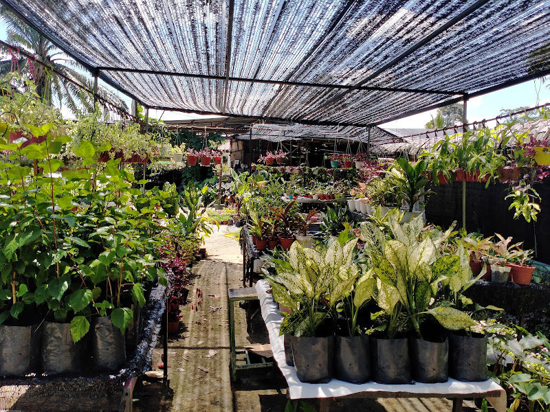 DE GADONG JAYA HOME NURSERY gallery