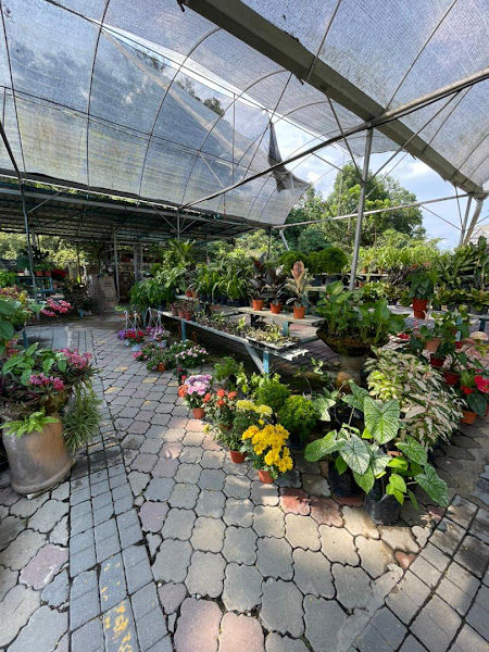 Happy Garden Nursery gallery