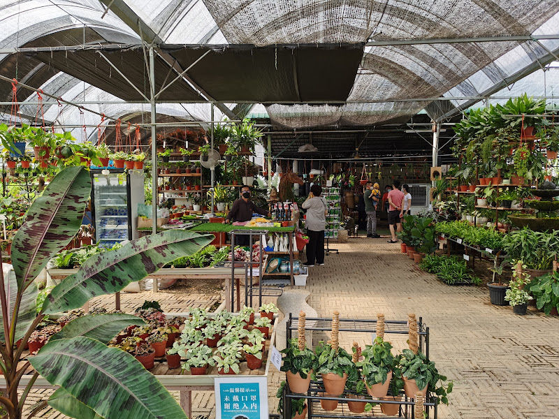 Asow Crafts & Landscaping Sdn Bhd ( Lanscaping & Nusery ) gallery