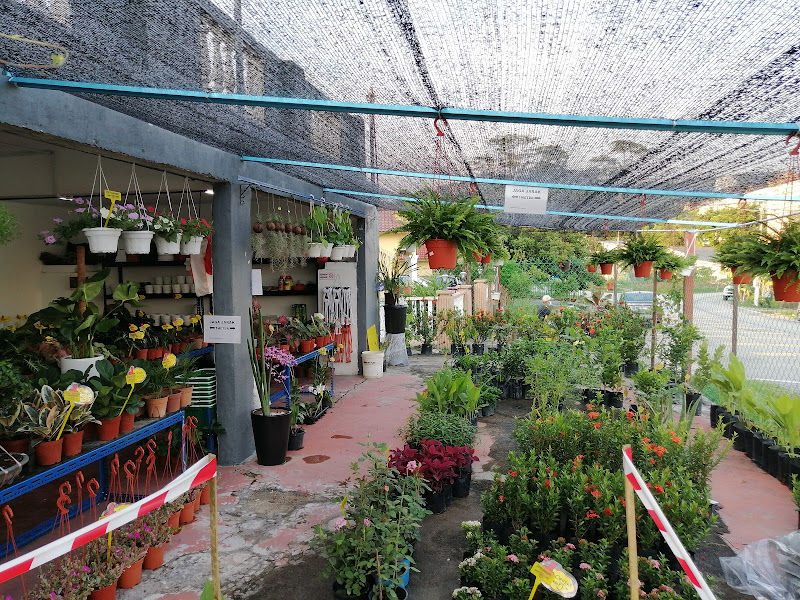 MAL BUNGA NURSERY gallery