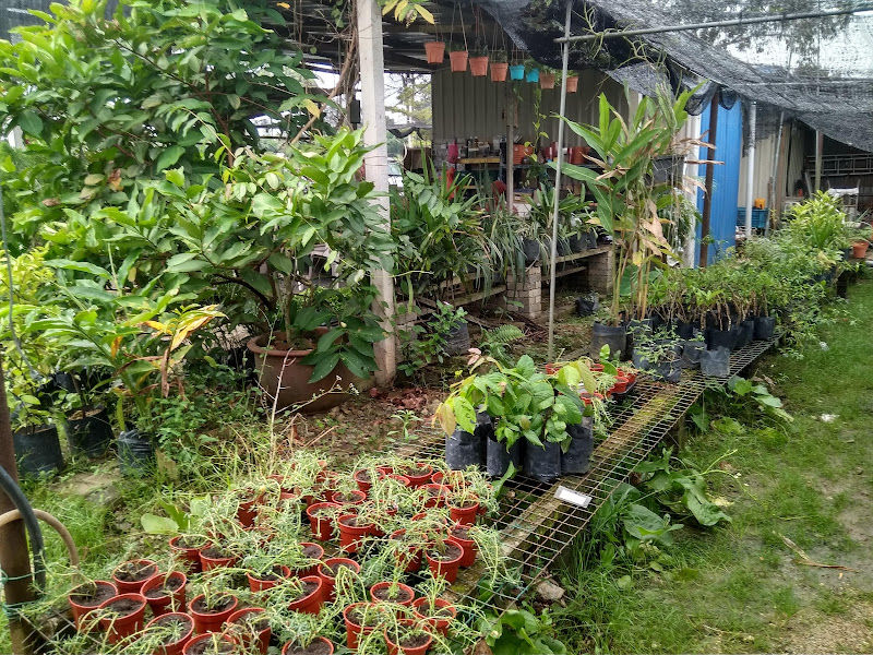 Jijan Nursery
