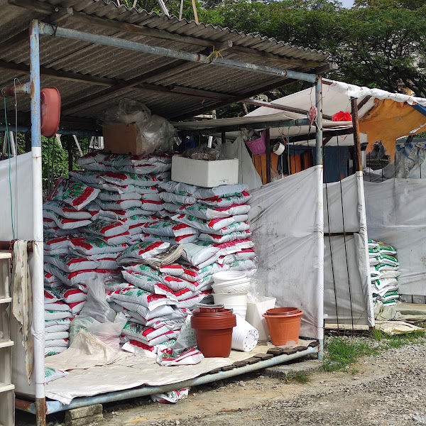 Chung Lim Garden gallery