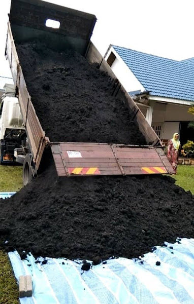 TANAH HITAM SAWIT ASLI (PAKAR)