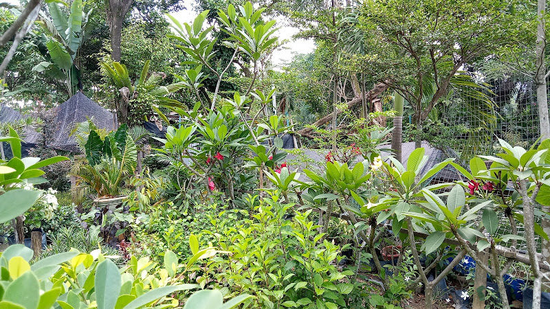 Sky Garden@Ks21 enterprise