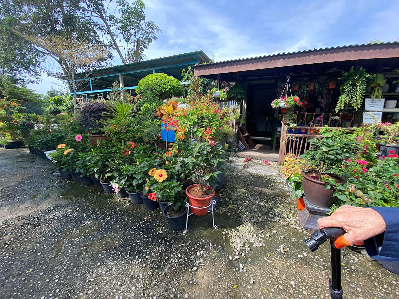 Nursery Laman Hijau Lestari