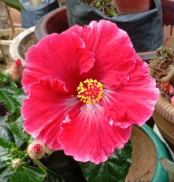 Waterfall Evergreen Venture gallery