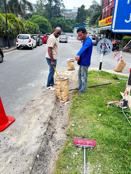 Pro Landscape gallery