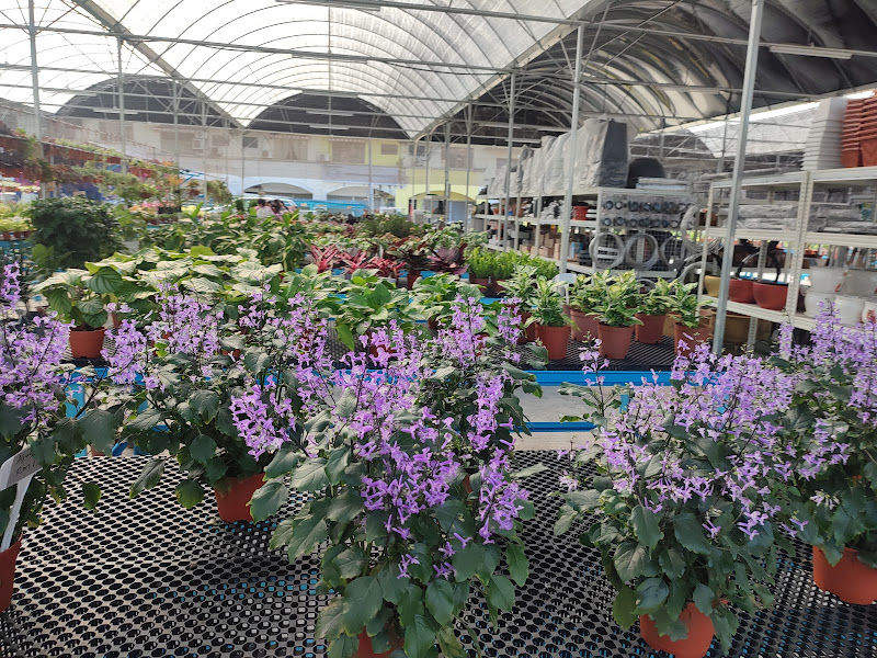 Lover Legend Gardening 情人传奇园艺中心 gallery