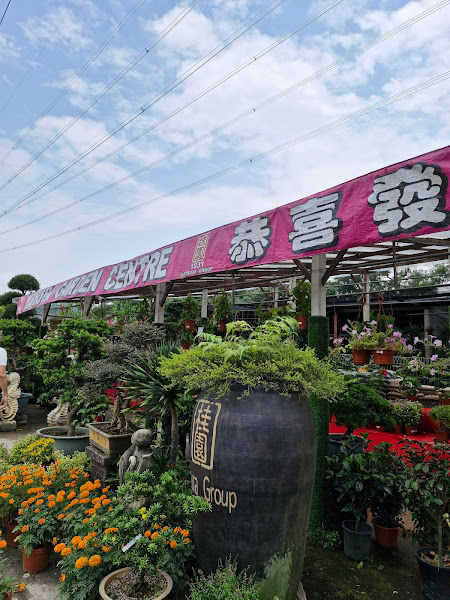 Katsura Garden Centre gallery