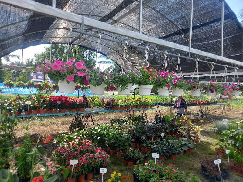 Mat Bunga Nursery gallery