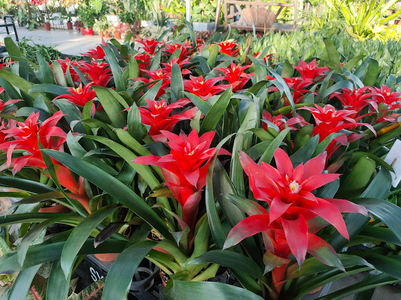 Summerville Nursery @ TPG gallery