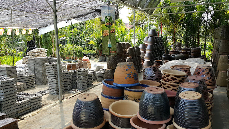 Sg Buloh Flowers & Plants Nursery Wholesale gallery