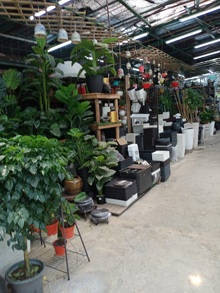 Artech Home Decor (New Shop)