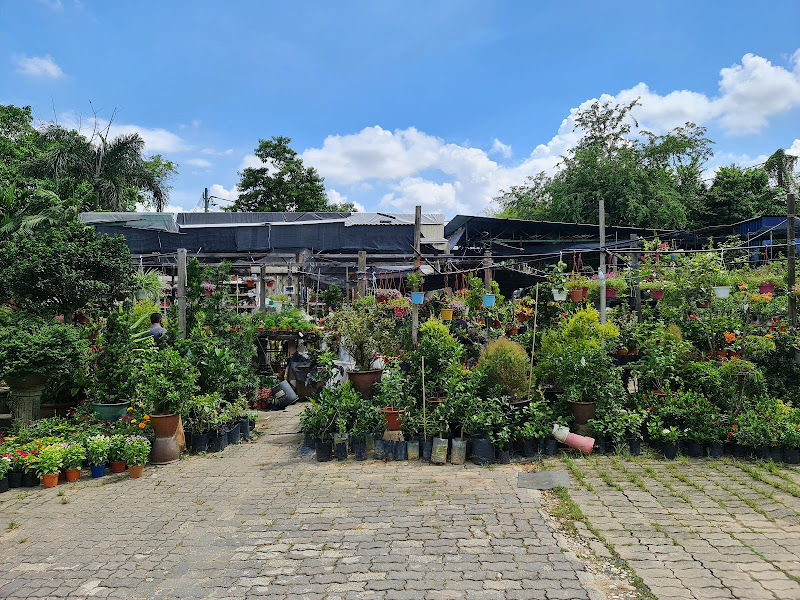 PYURUS GARDEN gallery