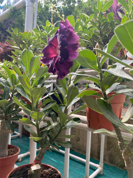 Green Eco Shop gallery