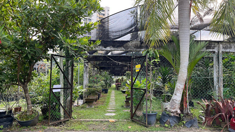 Forest Gold enterprise gallery