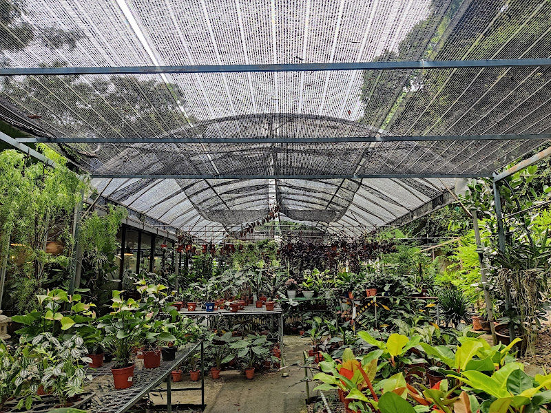 Dream Garden & Home Decor Sdn Bhd (Penang Branch) gallery