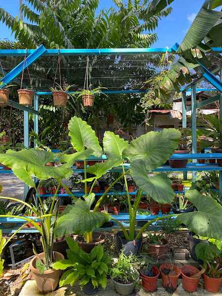 Rumah Kebun Cik Imah gallery