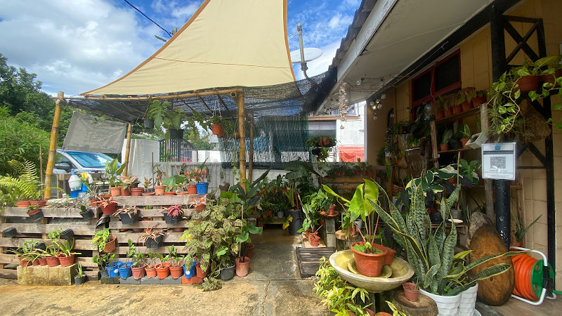 The Little Forest Malaysia