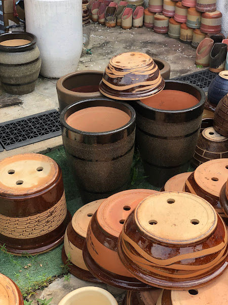 ThePasSu Landscape & Nursery D'Desaria gallery