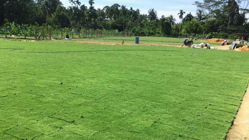 GRASSBOSS grass farm and landscape service