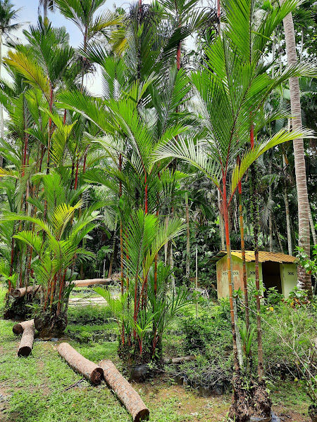 JL Landscape Sdn. Bhd. (Company No : 490898 U) gallery