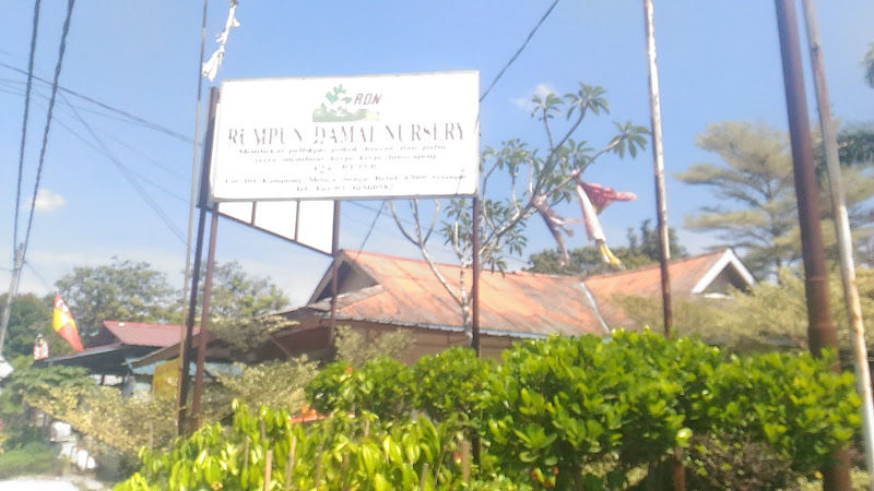 RUMPUN DAMAI NURSERY gallery