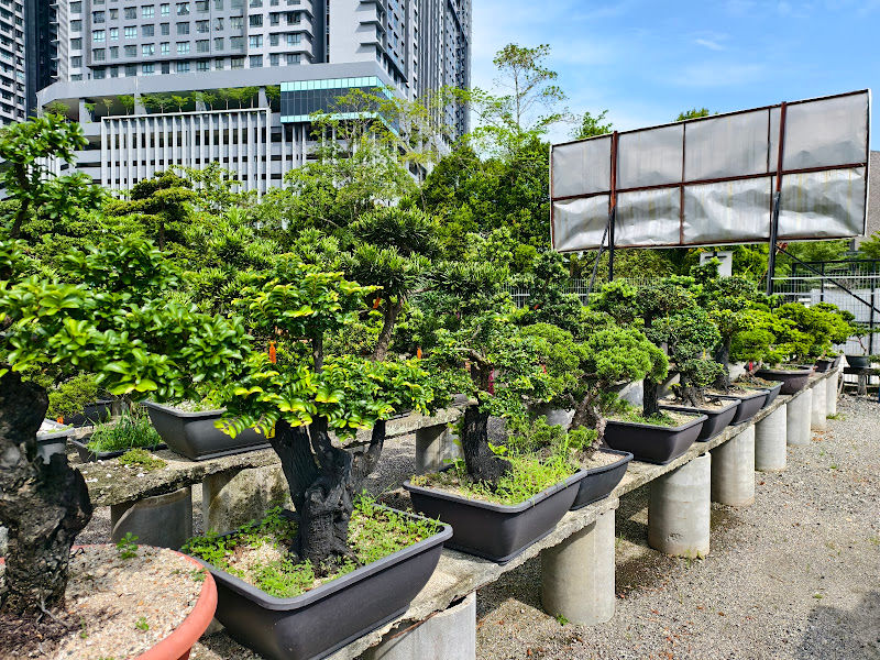 Earthly Treasures gallery