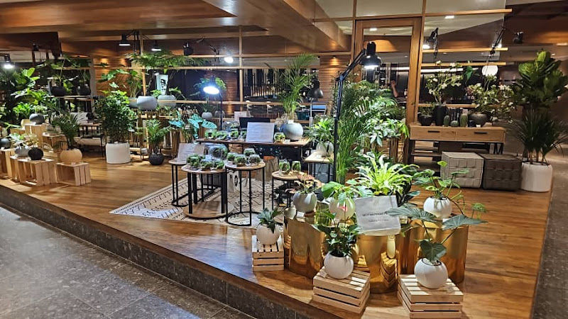 Monel Greenery gallery